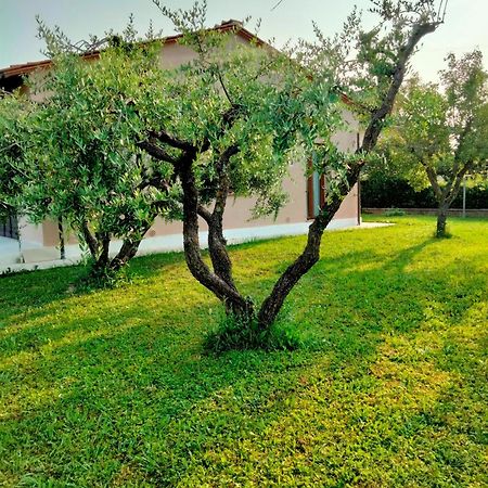 Appartement Il Melograno à Lucques Extérieur photo