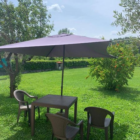 Appartement Il Melograno à Lucques Extérieur photo